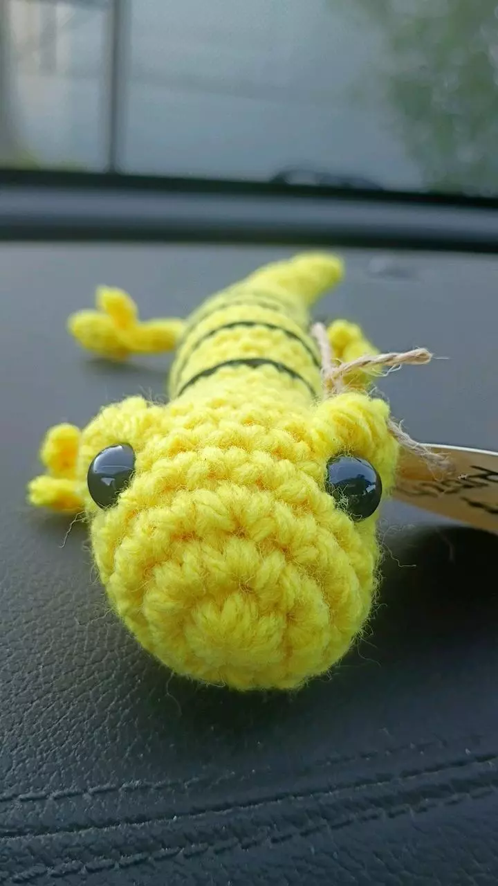 yellow and black lizard thumbnail