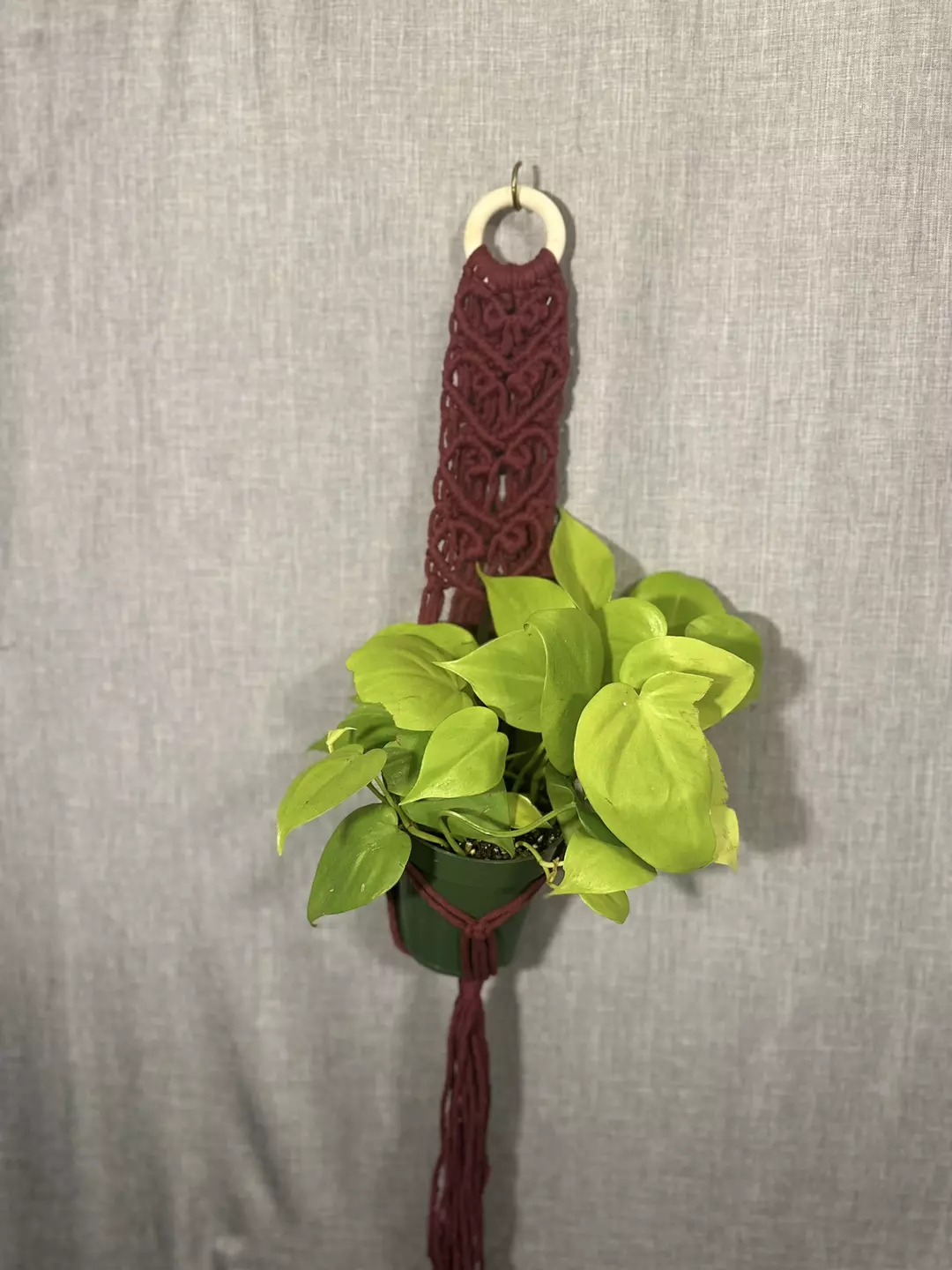  Heart hanging planter holds 4 to 6 inch pot thumbnail