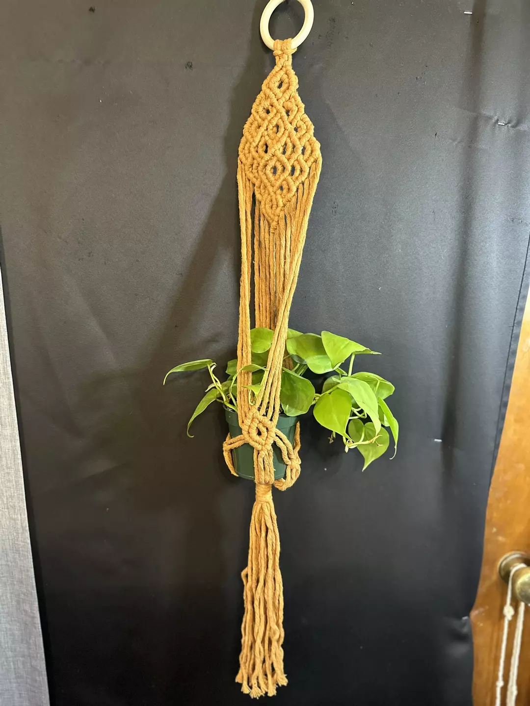  Jim wall hanging planner squash, holds 6 to 8 inch pot thumbnail