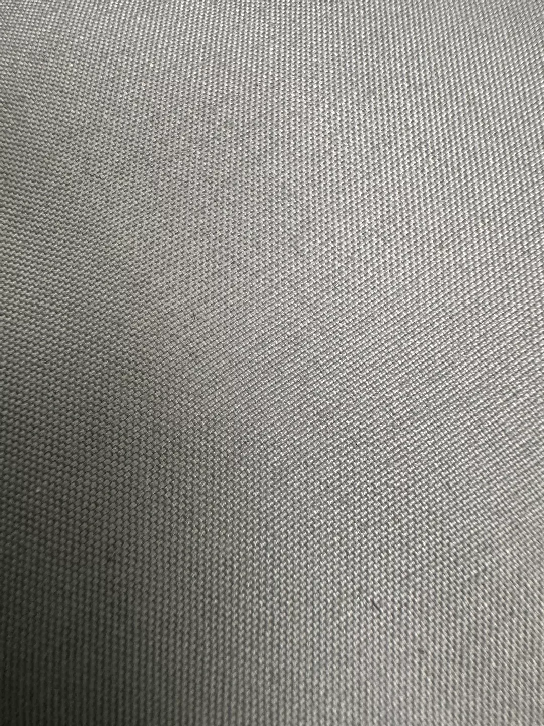 MYSTERY ANTHURIUM SEEDLING ADD ON ONLY thumbnail