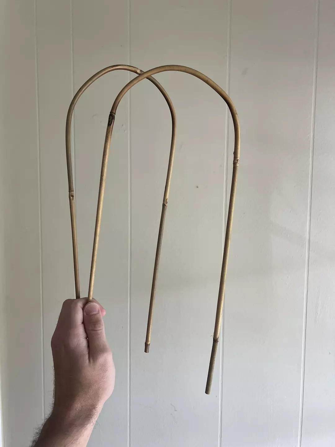 (2) Bamboo Hoop Trellis 16” thumbnail