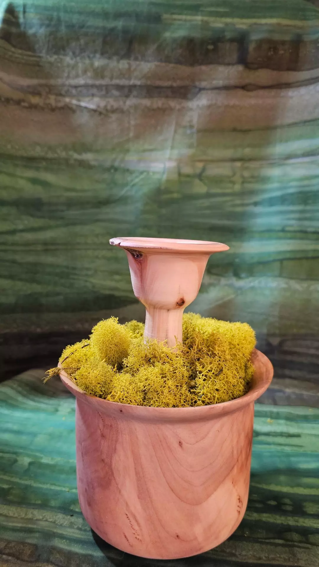 12. Yellow Cedar thumbnail