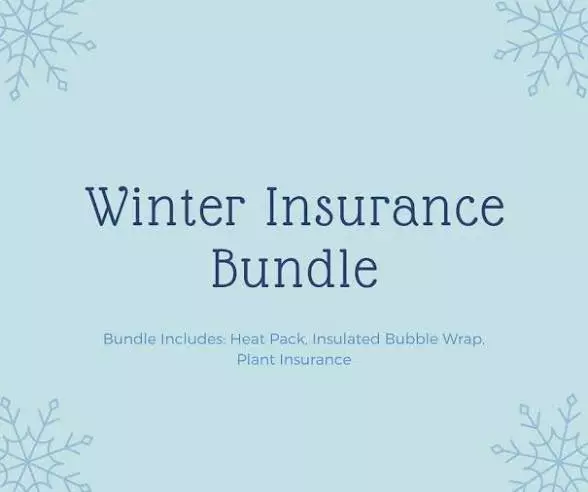 Winter Insurance thumbnail