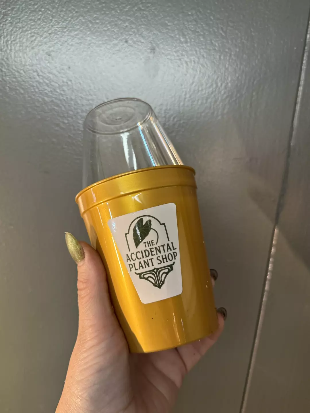 Self Watering Pot with Dome thumbnail