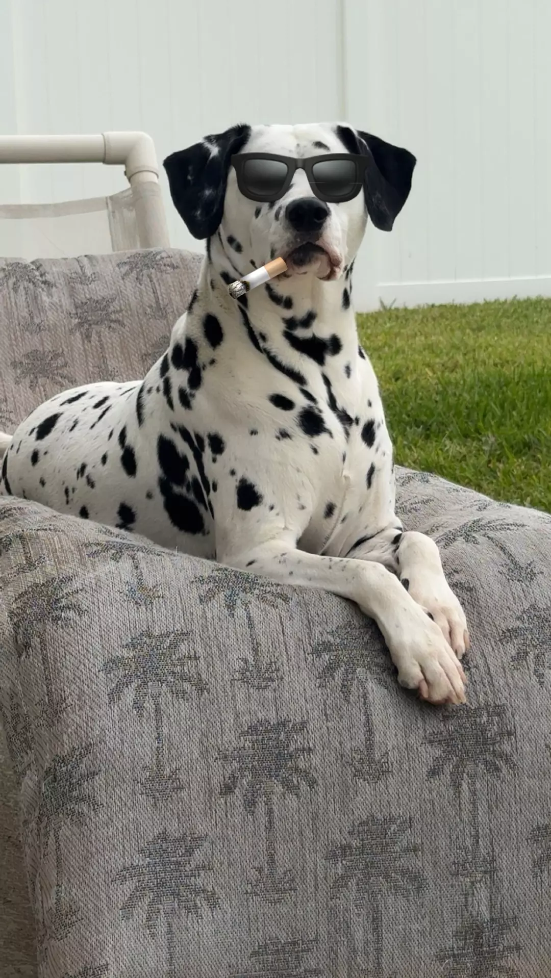 $15 MYSTERY PEPPERONI BOX ! thumbnail