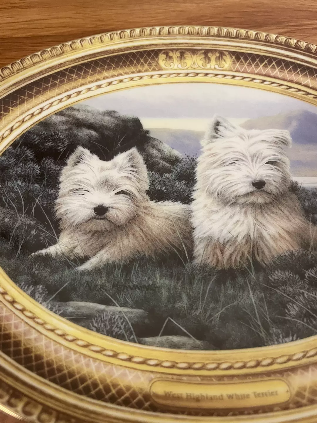 White Westie Dogs Plate thumbnail