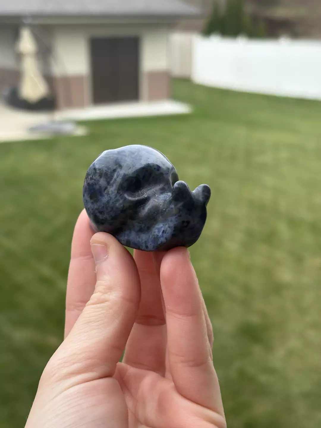 Sodalite Snail thumbnail