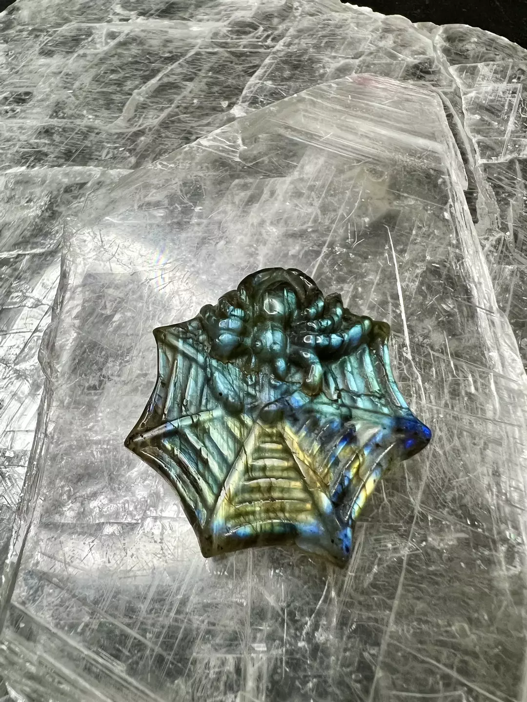 Labradorite spider in web thumbnail
