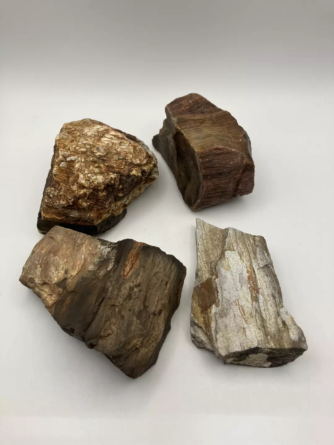 Stinking Water Oak Petrified Wood - 4PCS - 2lbs thumbnail
