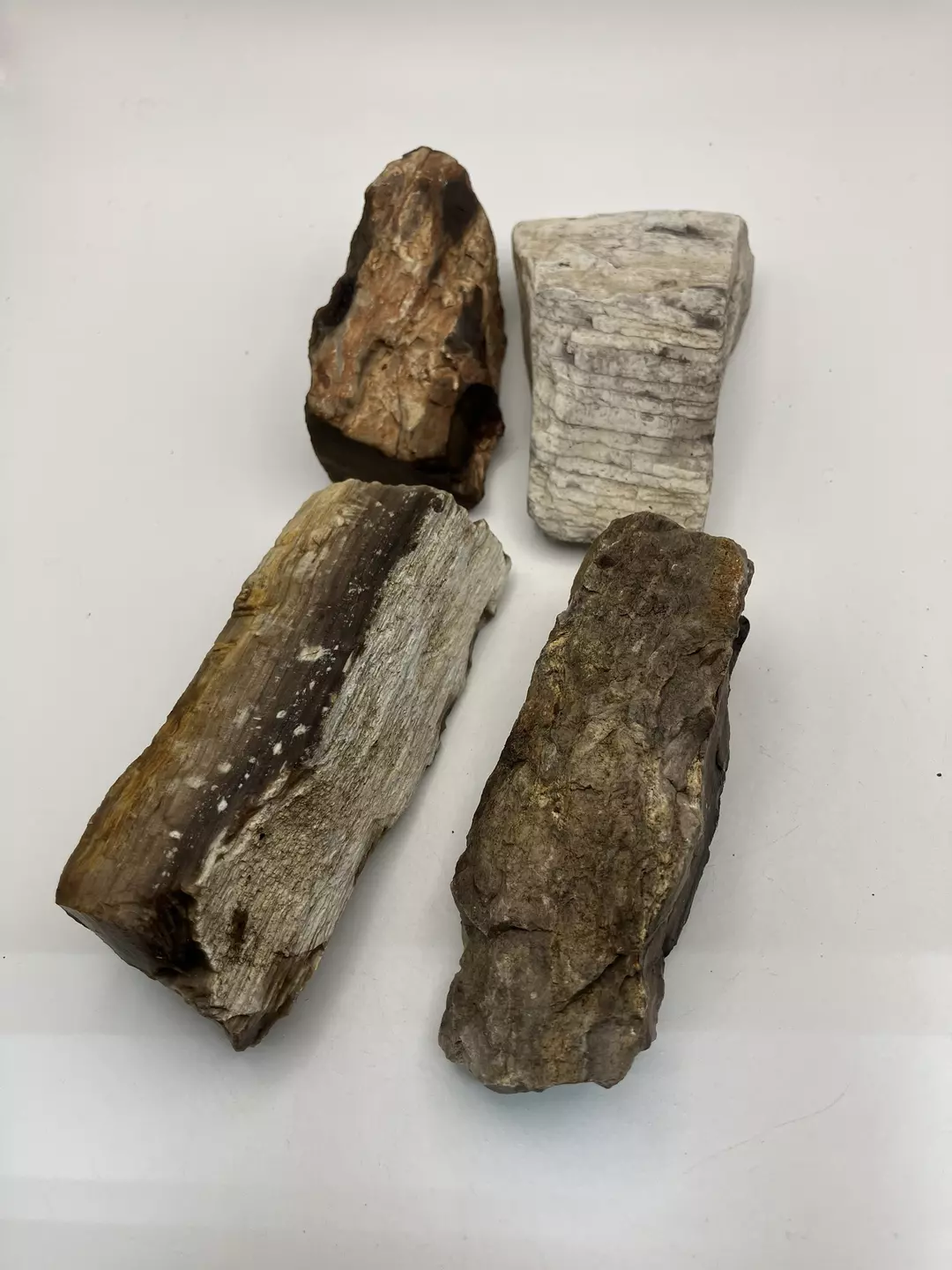 Stinking Water Oak Petrified Wood - Agatized - 4PCS - 15.90oz thumbnail