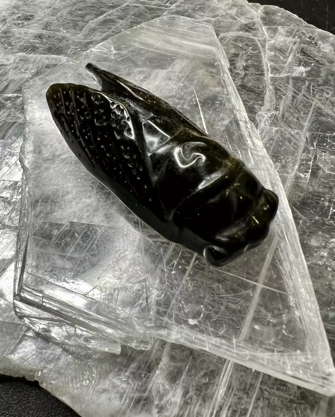 Black-sheen obsedian cicada thumbnail