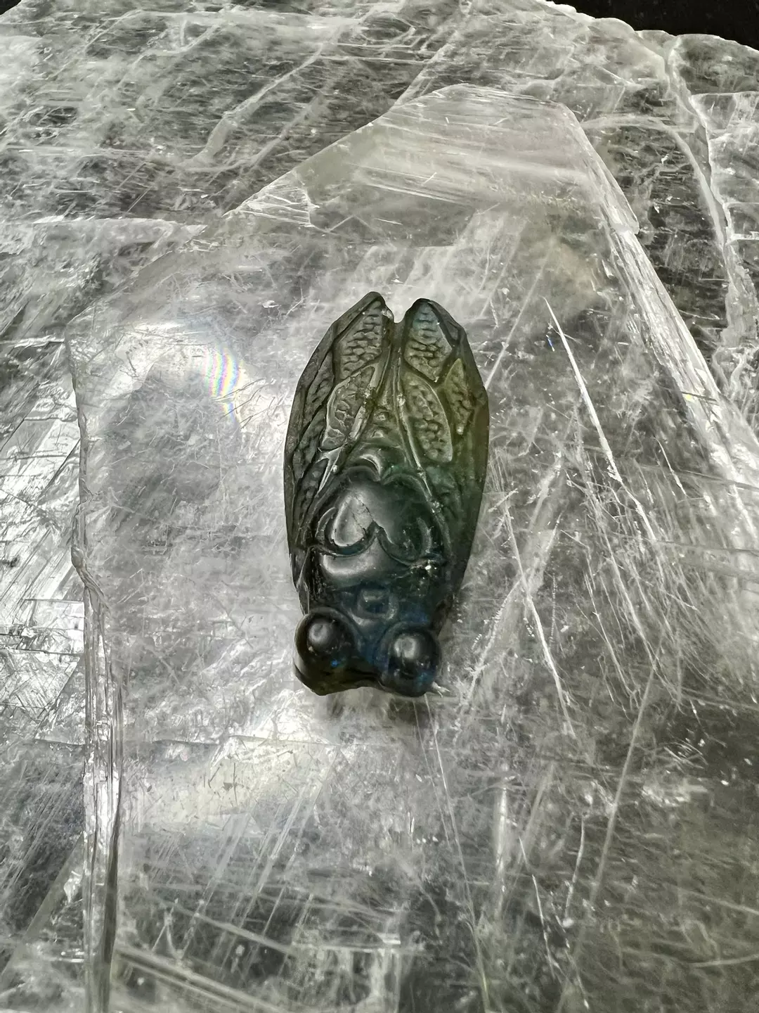 Labradorite cicada (d) thumbnail