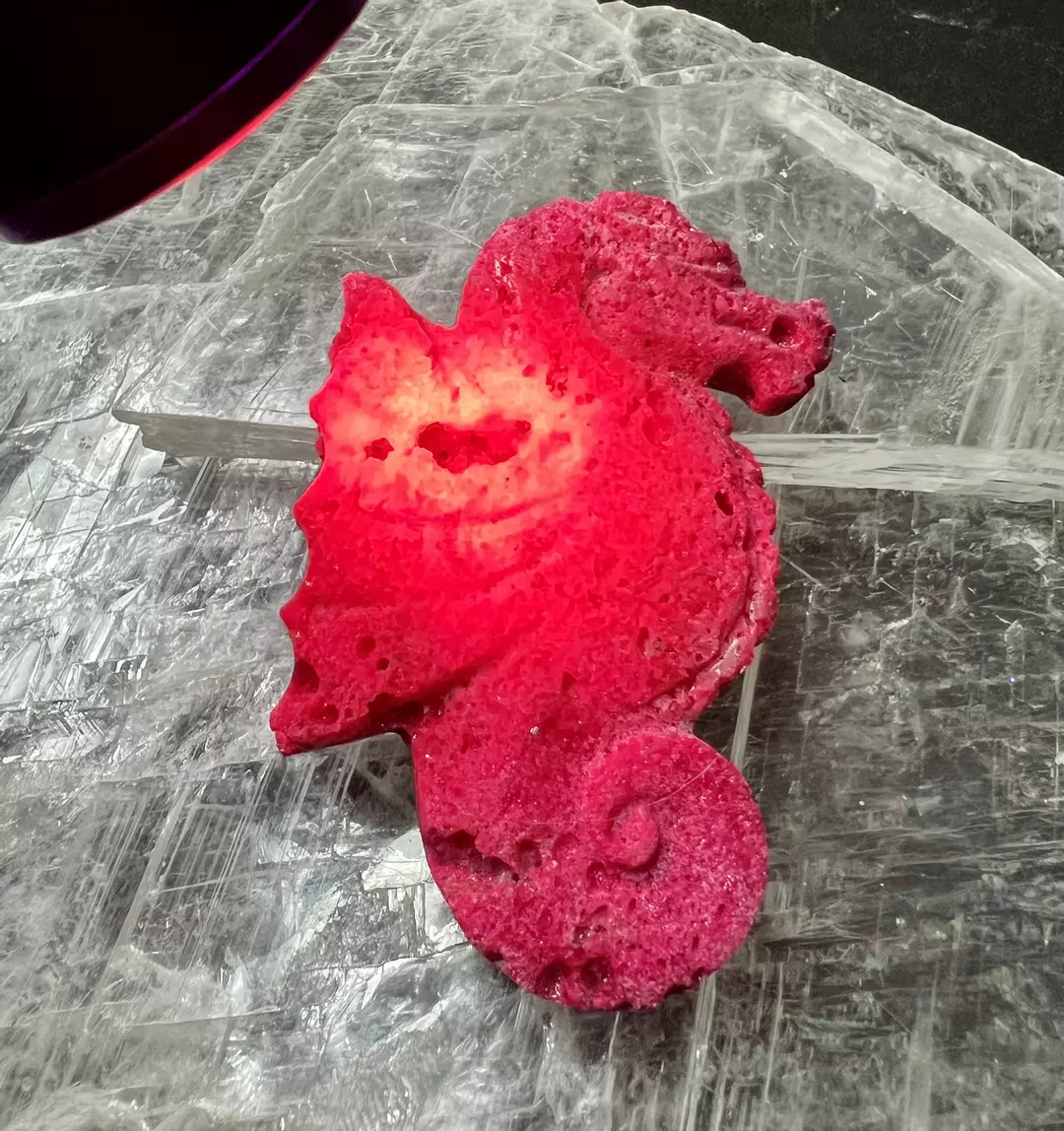 Honeycomb ruby seahorse (UV reactive) thumbnail