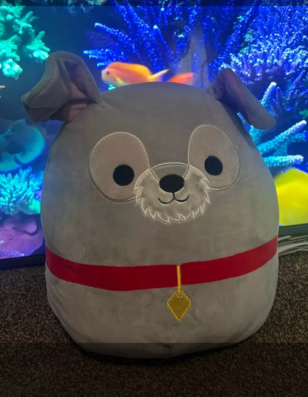 12” Squishmallow Tramp (Lady and the tramp) thumbnail