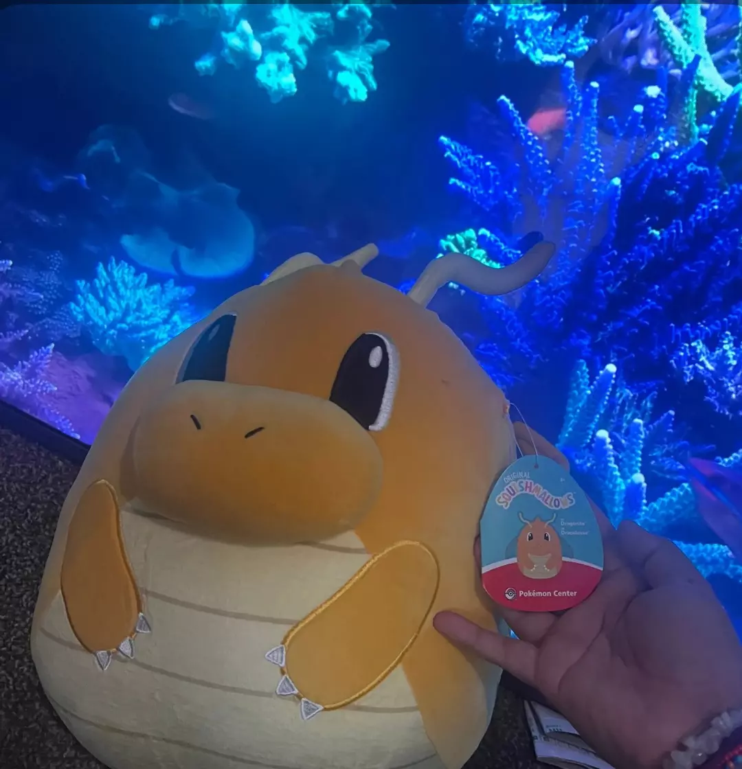 12" Pokemon Center Squishmallow Dragonite Squishmallow thumbnail
