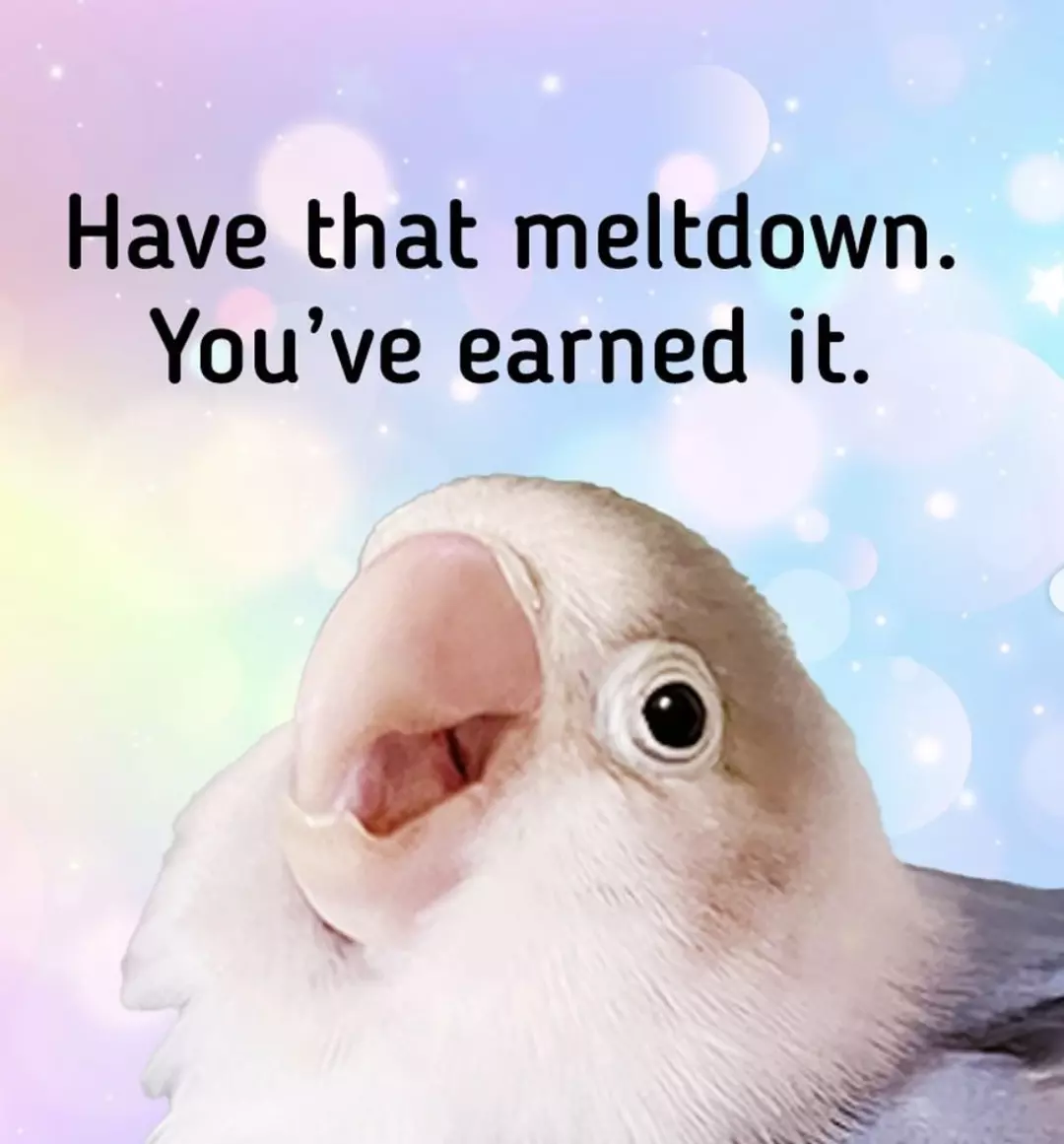 INSULATION & HEAT PACK ADD ON thumbnail