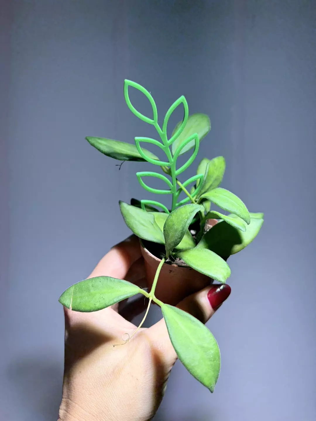 3D-101 4 3D printed trailings supports thumbnail