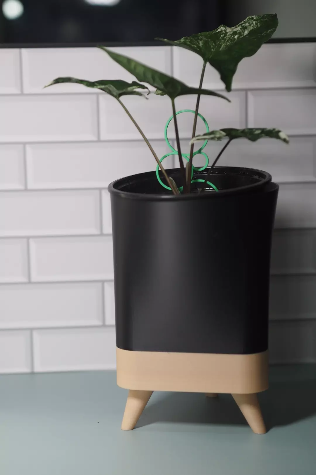 3D-006 Printed planter style thumbnail