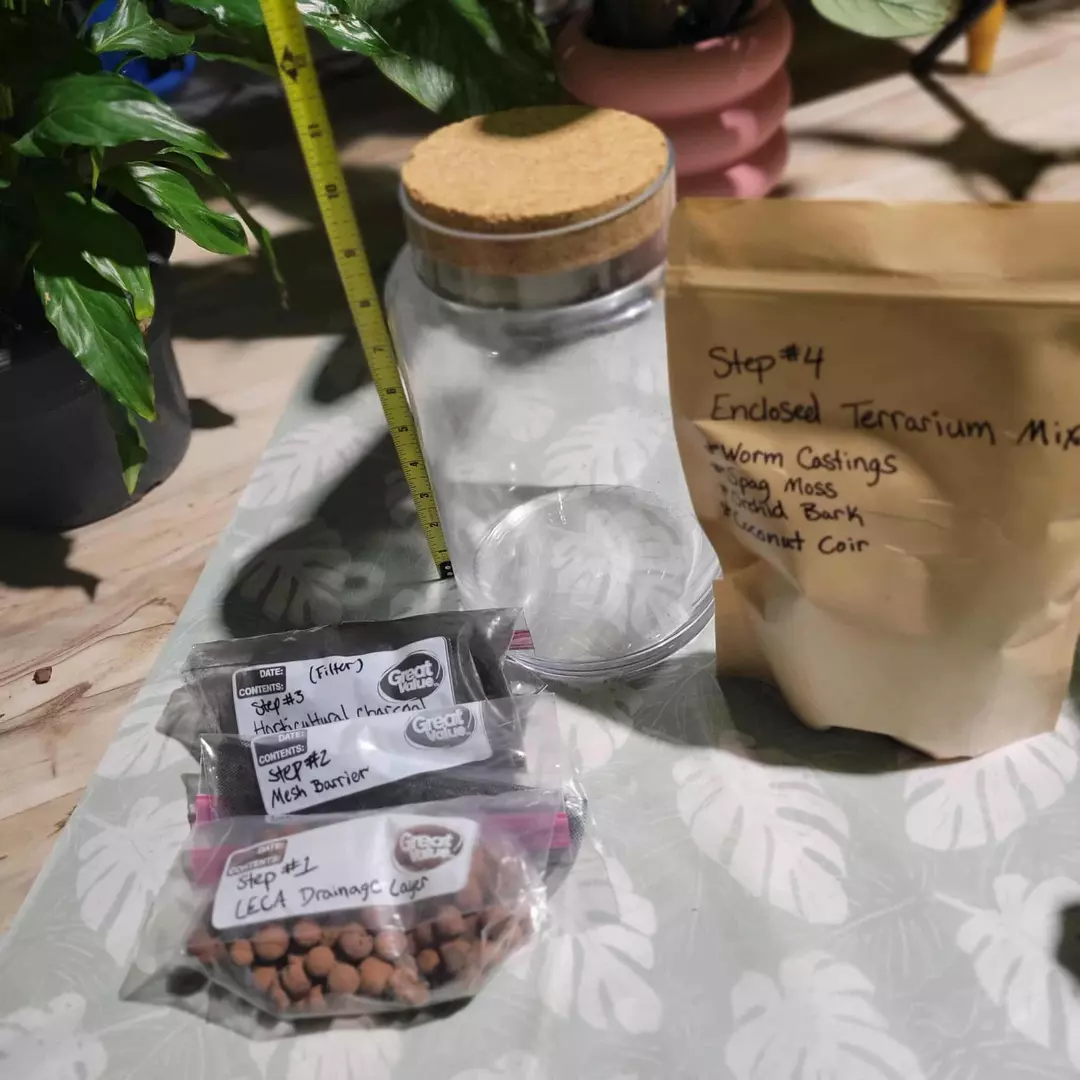 Medium DIY TERRARIUM thumbnail