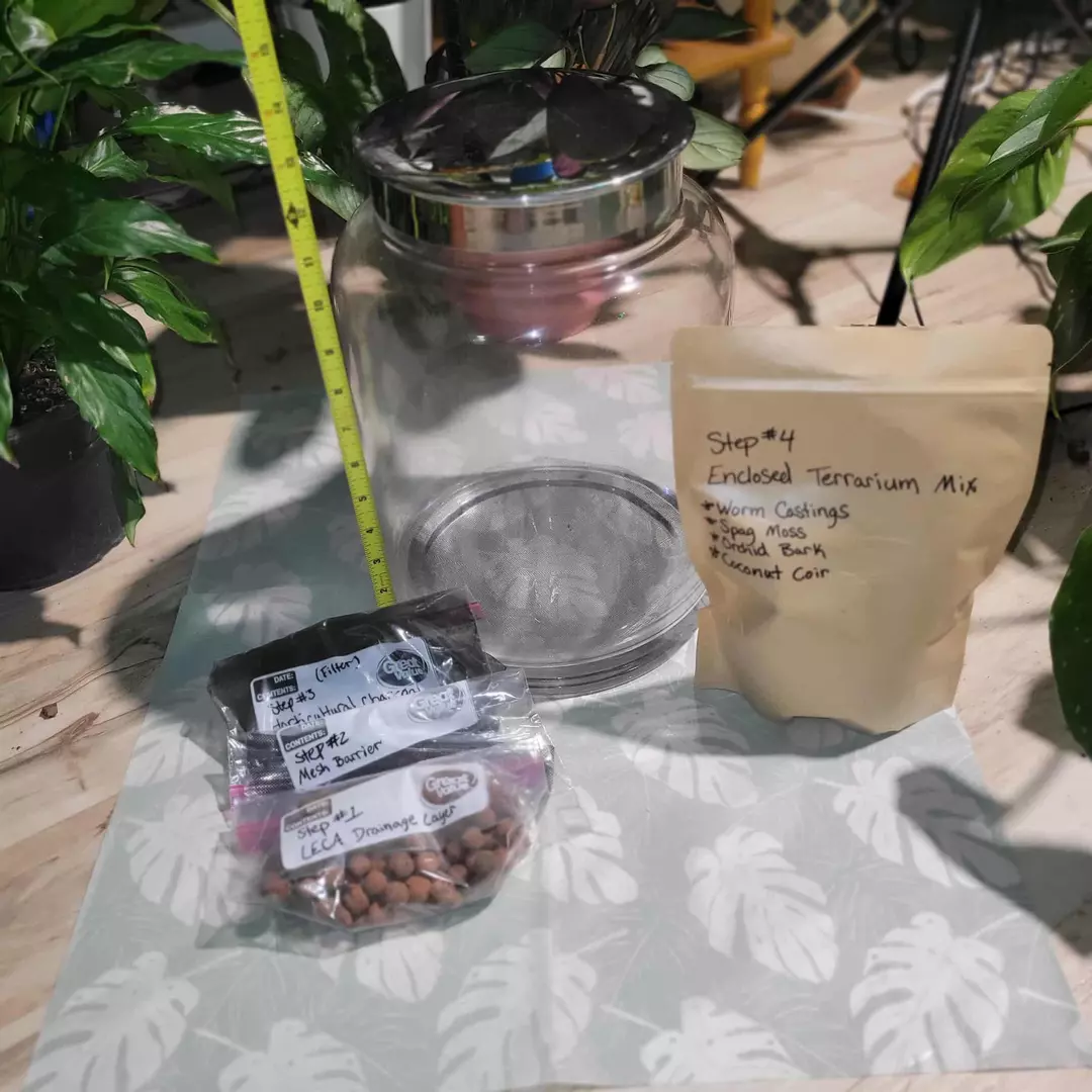 LARGE DIY TERRARIUM thumbnail
