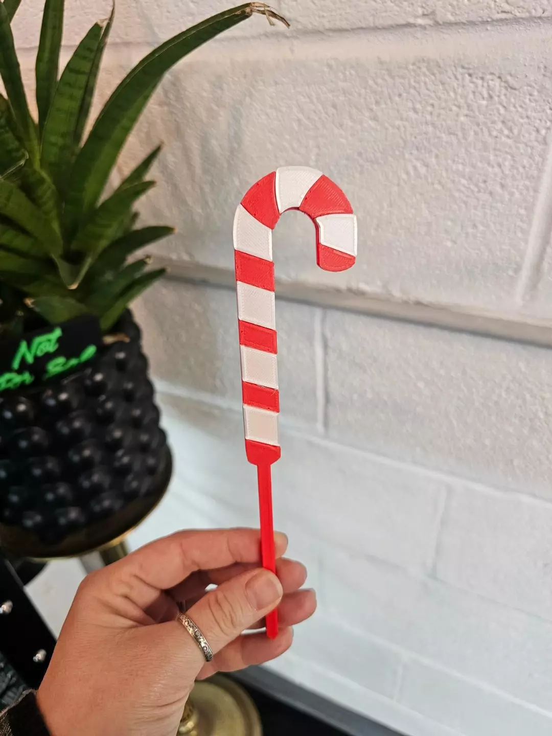 Candy Cane PF thumbnail