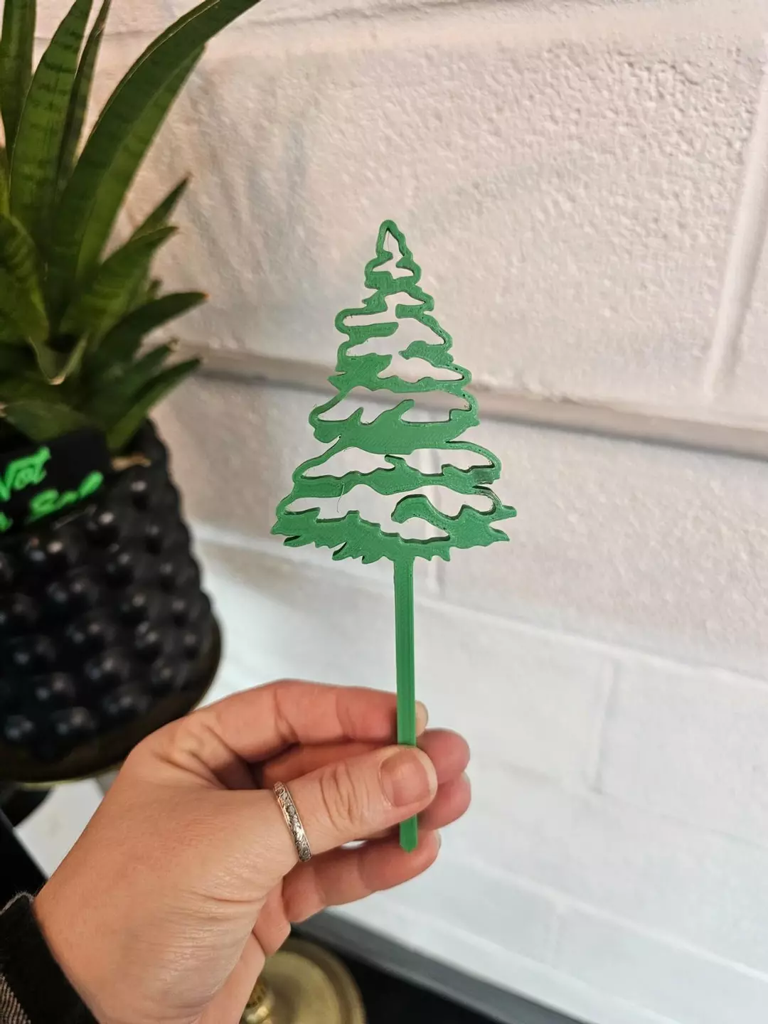Pine Tree PF thumbnail