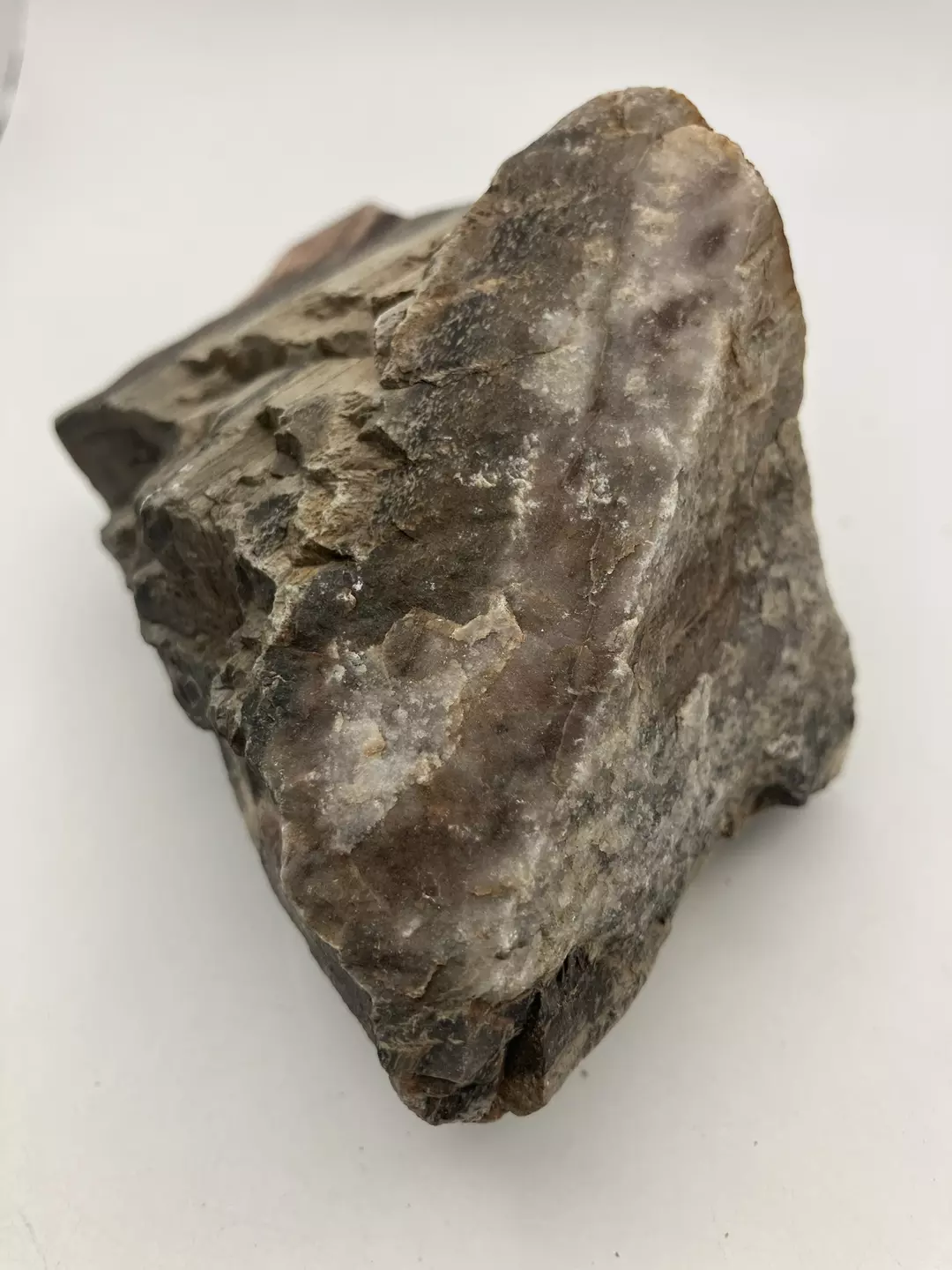 Hampton Butte Petrified Wood - Agatized & Druzy - 1lb thumbnail