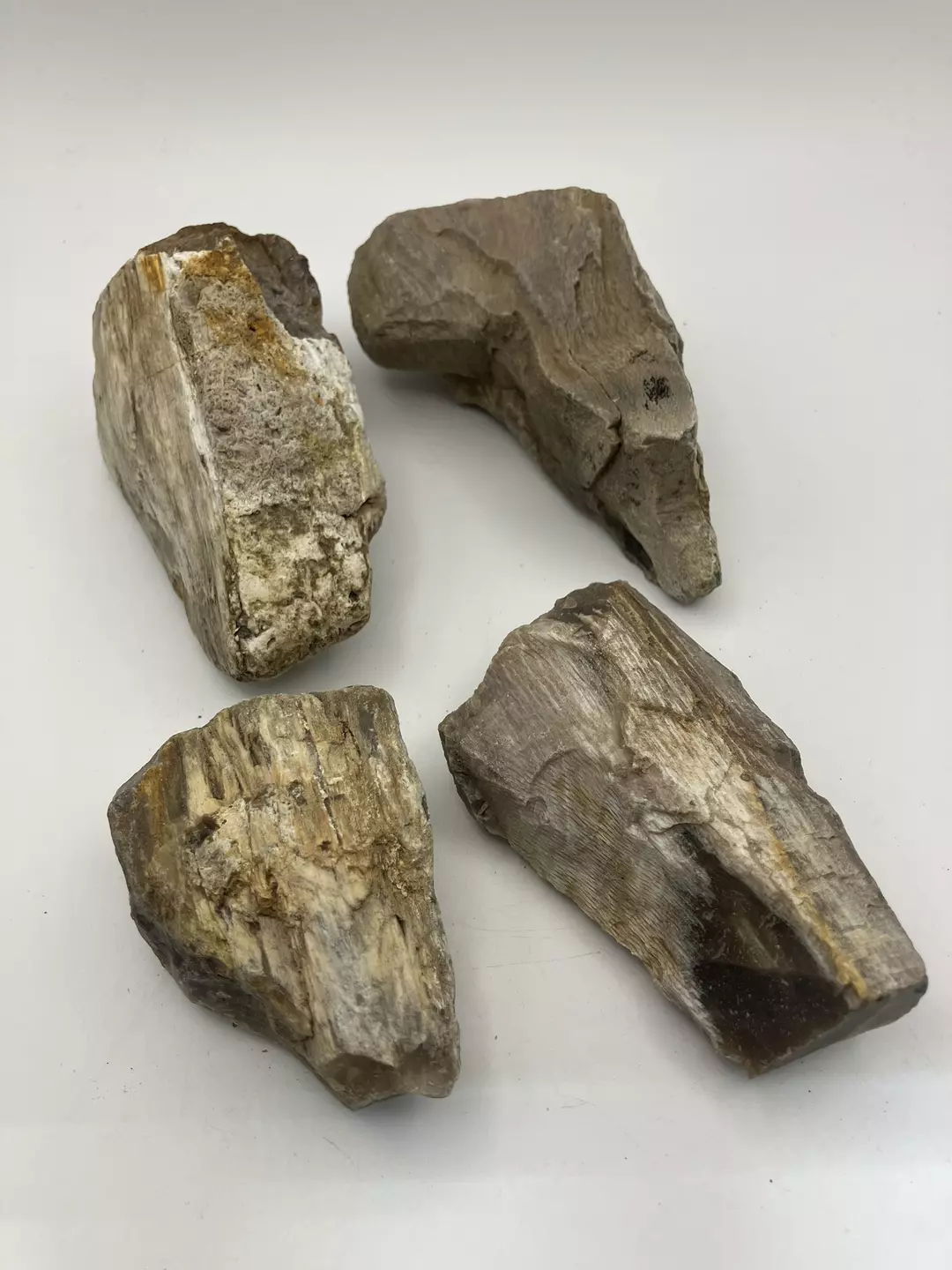 Stinking Water Oak Petrified Wood - Agatized - 4PCS - 1lb 5.95oz thumbnail