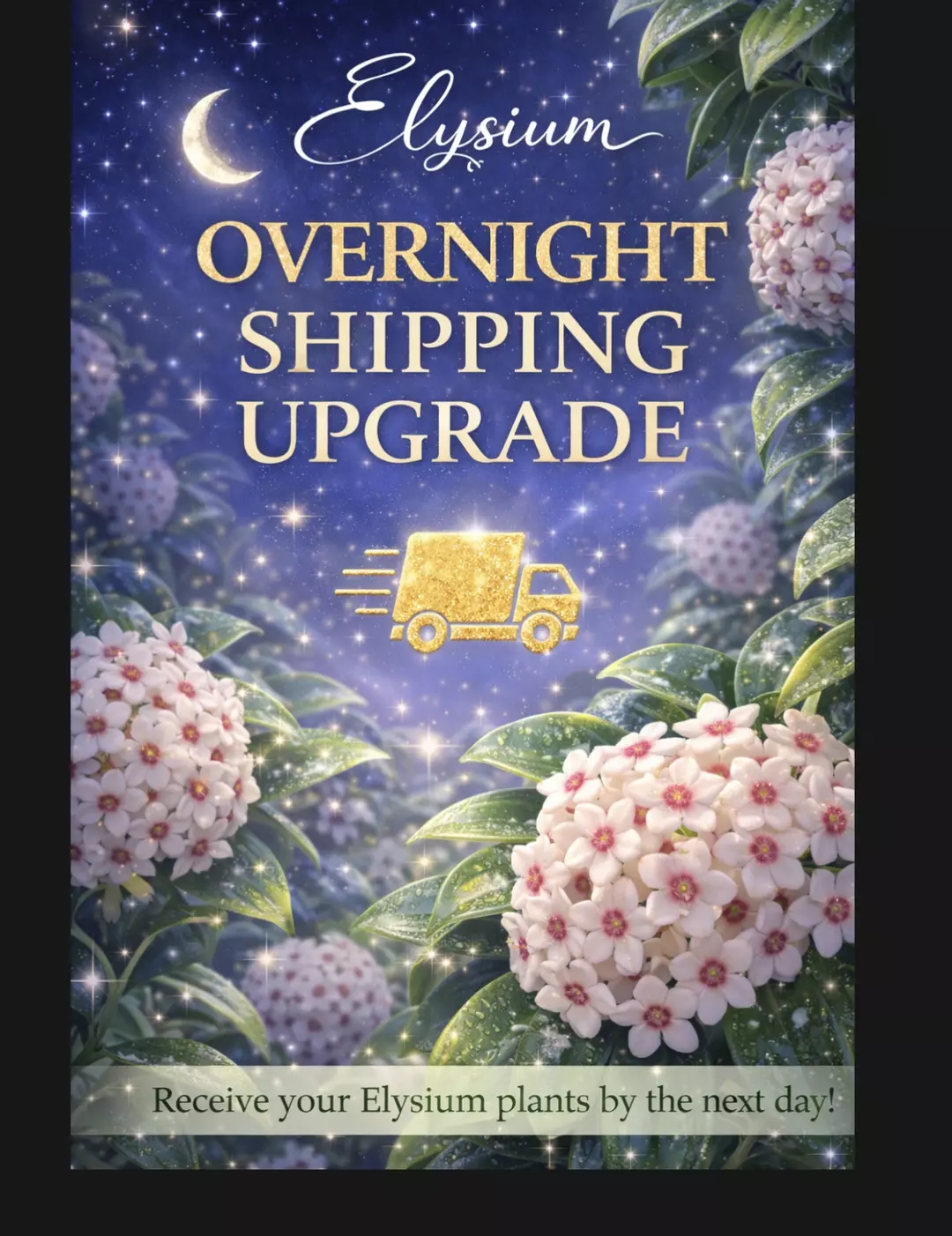 Over-Night Shipping thumbnail