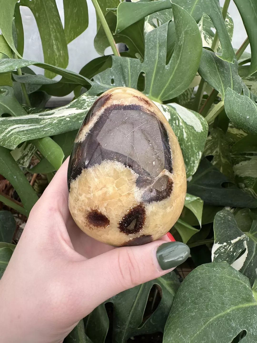 PSS-0561 Septarian Egg thumbnail