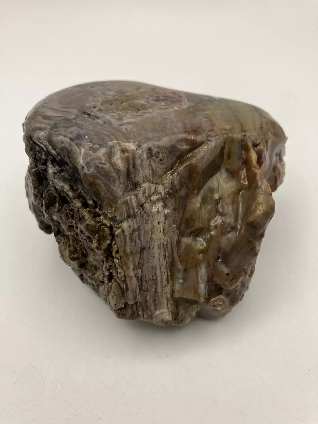 Hampton Butte Petrified Wood - Agatized & Opalized - Polished - 11.70oz thumbnail