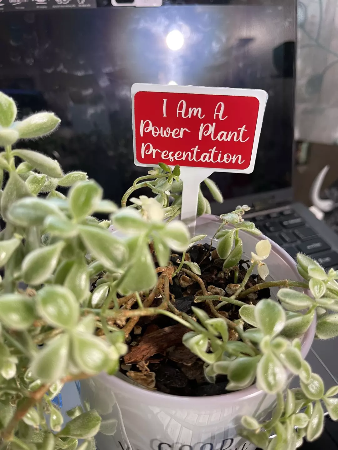 “I Am A Power Plant Presentation” laser-engraved Plant Sign thumbnail