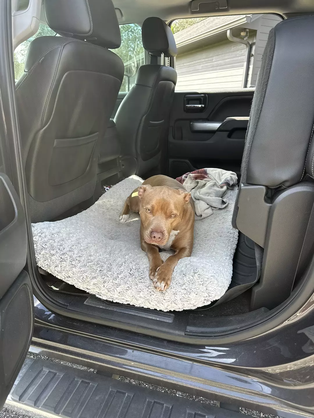 Expedited shipping thumbnail