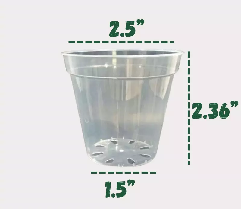 2.5” clear pots - 12 pack thumbnail