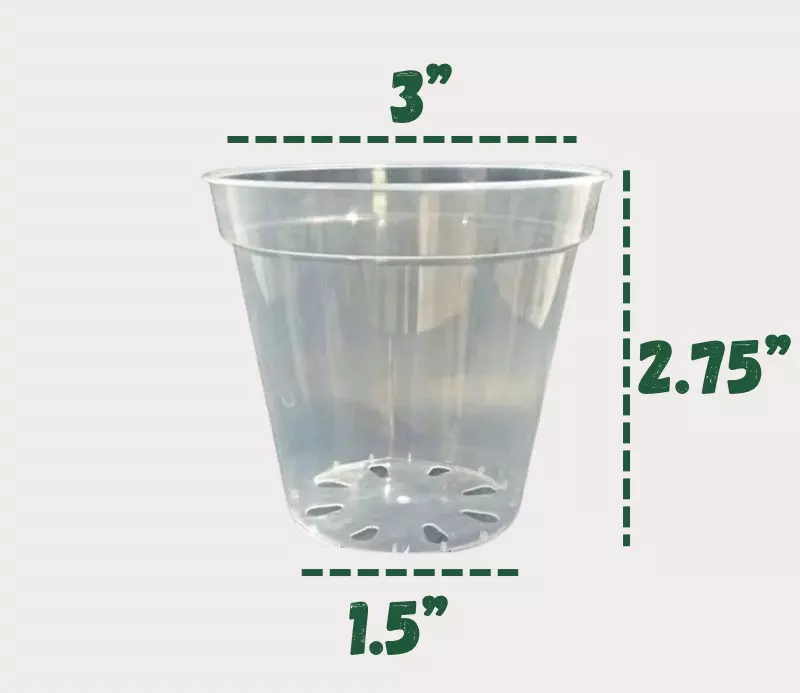 3” clear pots - 5 pack thumbnail