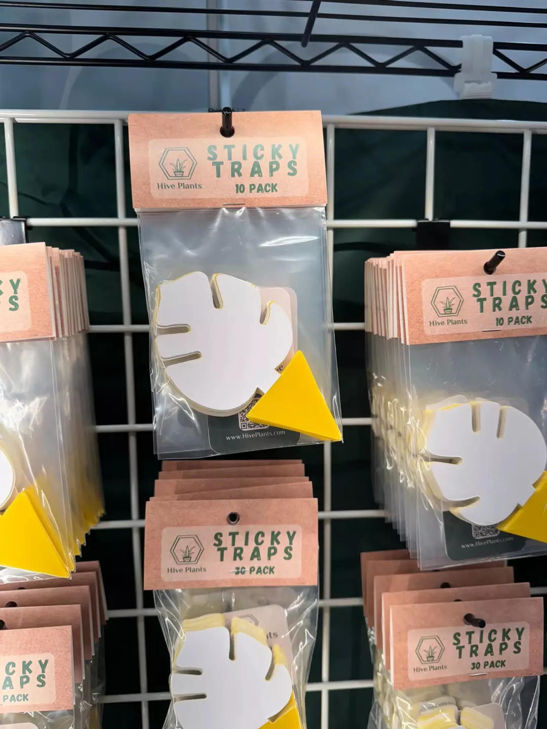 Sticky Traps - 30 pack thumbnail