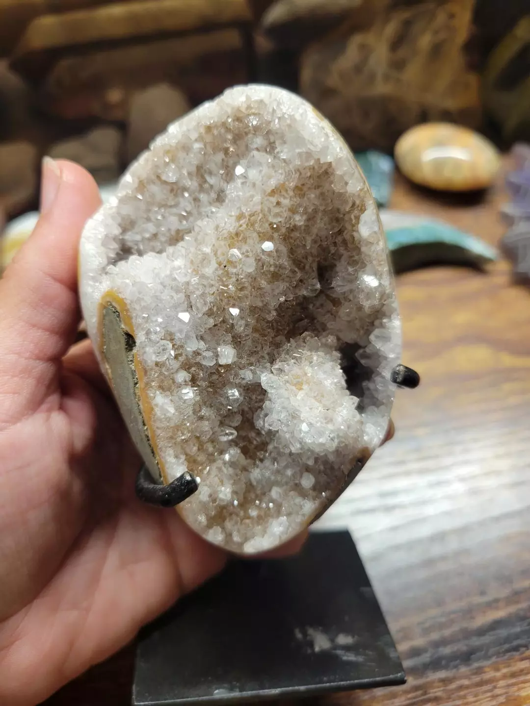 Citrus amythest thumbnail