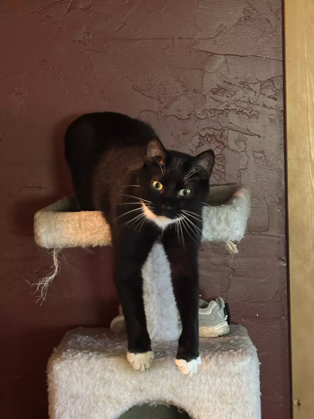 UPS 2 day air UPGRADE thumbnail