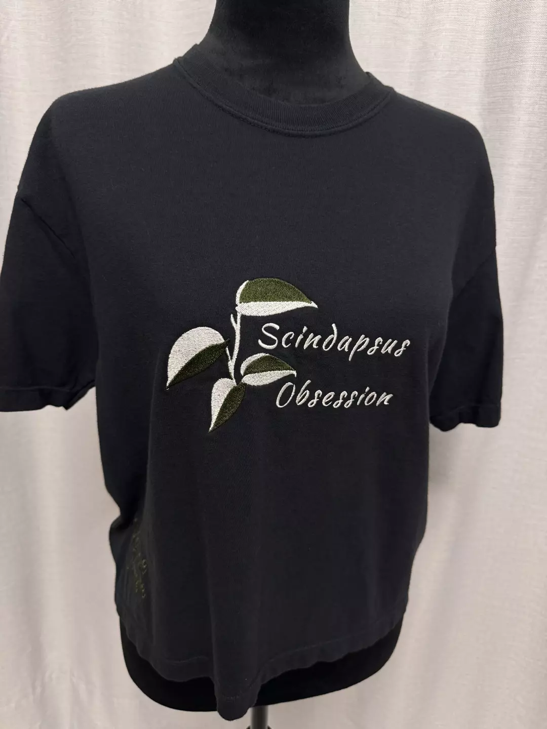 Scindapsus blue albo - Large - Black- Boxy Tshirt thumbnail