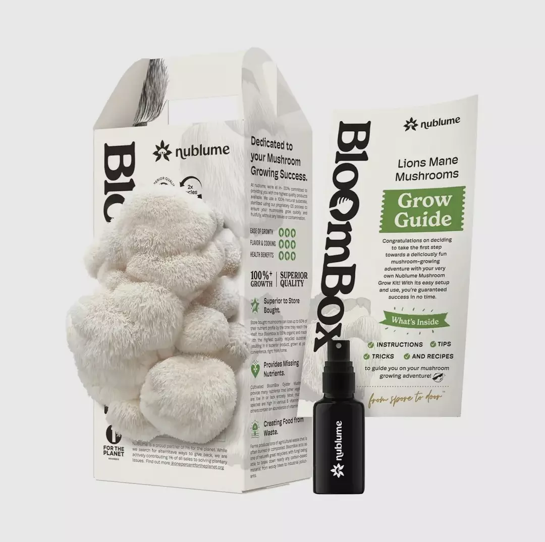 Lions Mane mushroom grow kit thumbnail