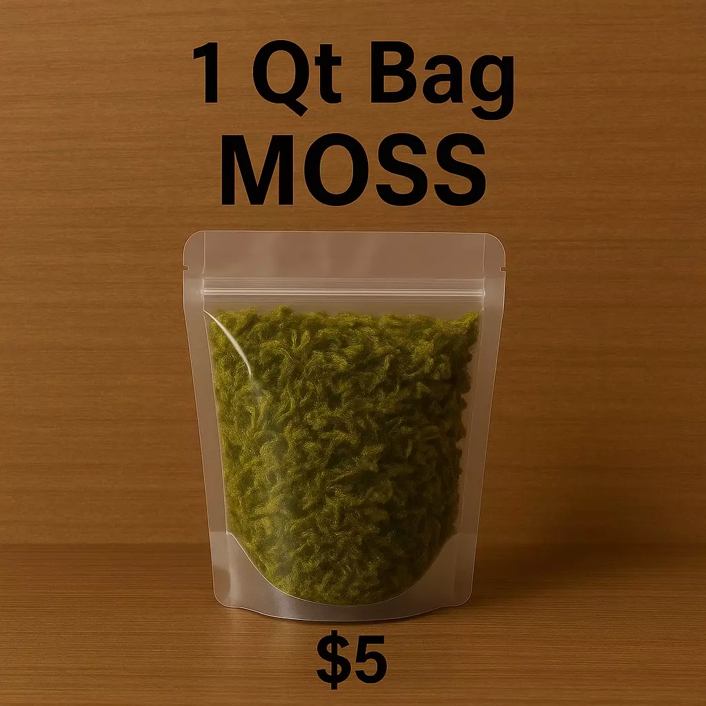 Moss bag on sale thumbnail