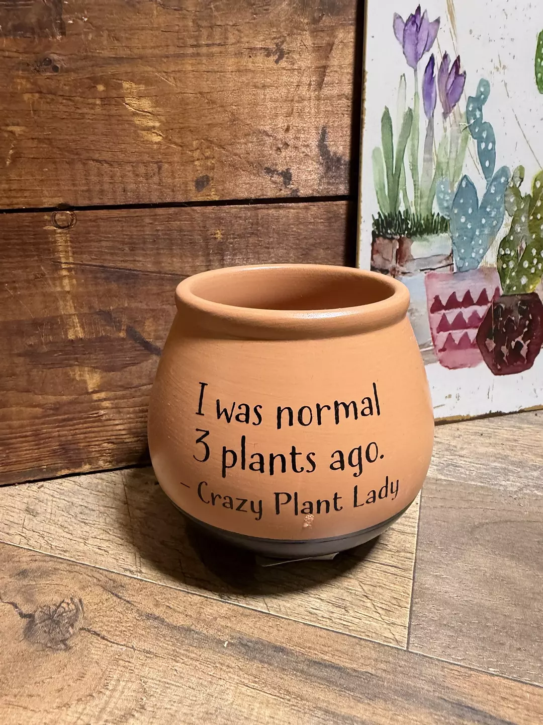 4” CERAMIC “I was normal ” POT thumbnail