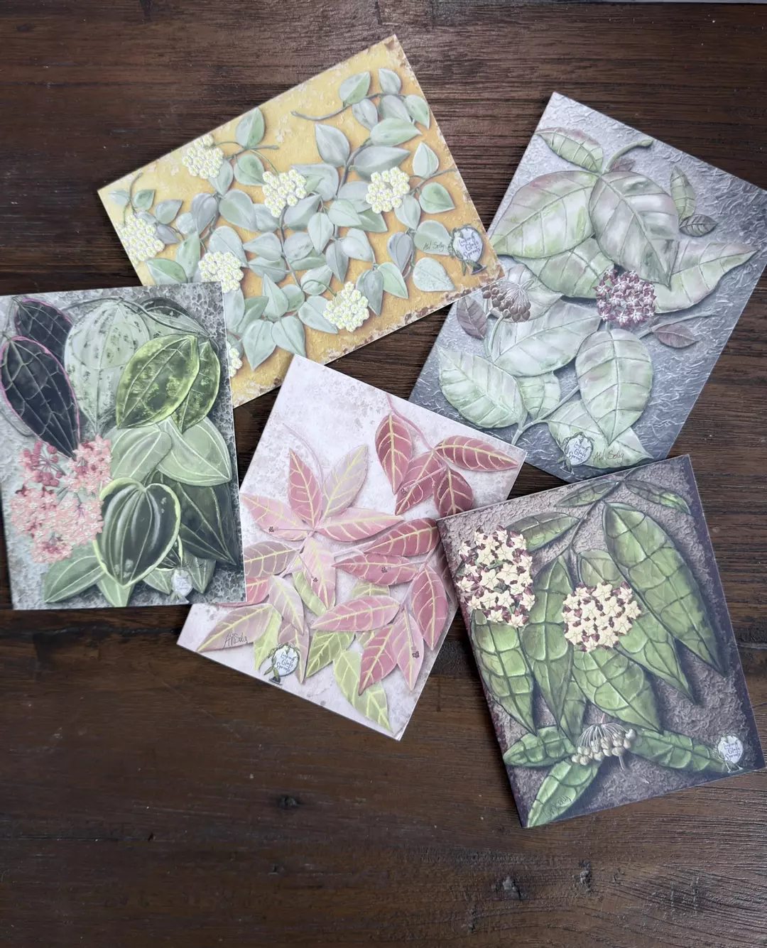 Original Art Hoya Notecards - Box Set of 5 / One of each design thumbnail