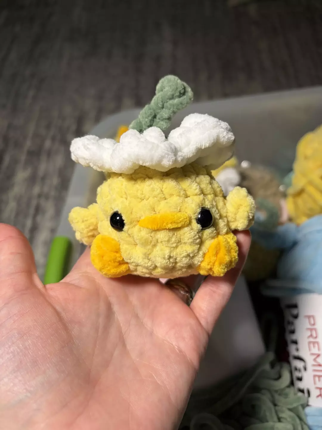 Chick with white daisy hat thumbnail