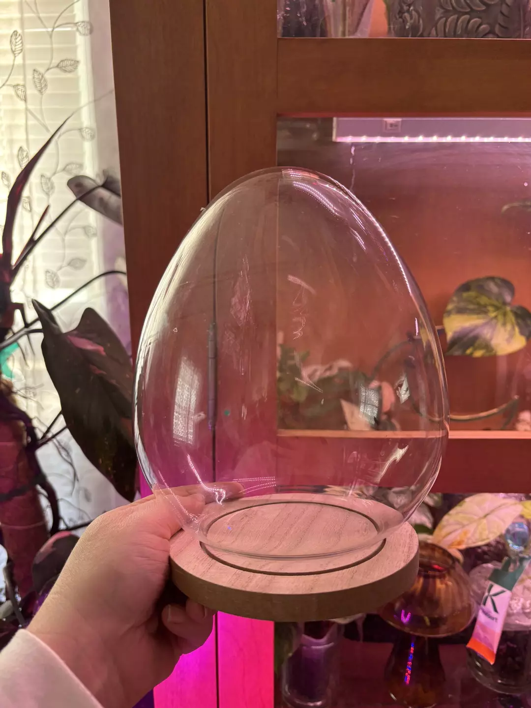 Easter Egg Domes! thumbnail