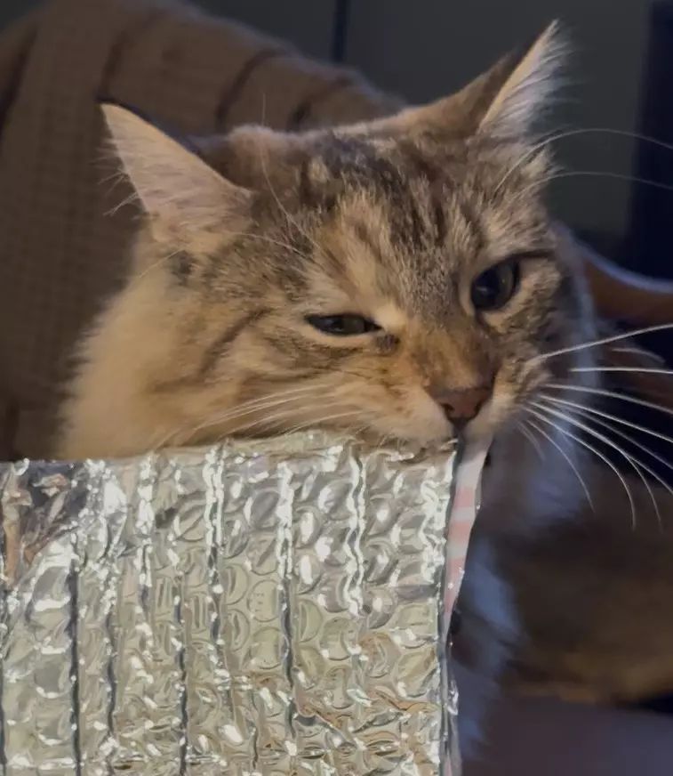 Just Insulation thumbnail