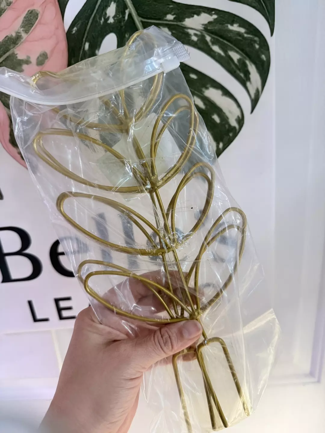 Trellis pack of 2 thumbnail