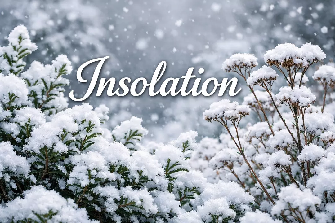 Insolation thumbnail