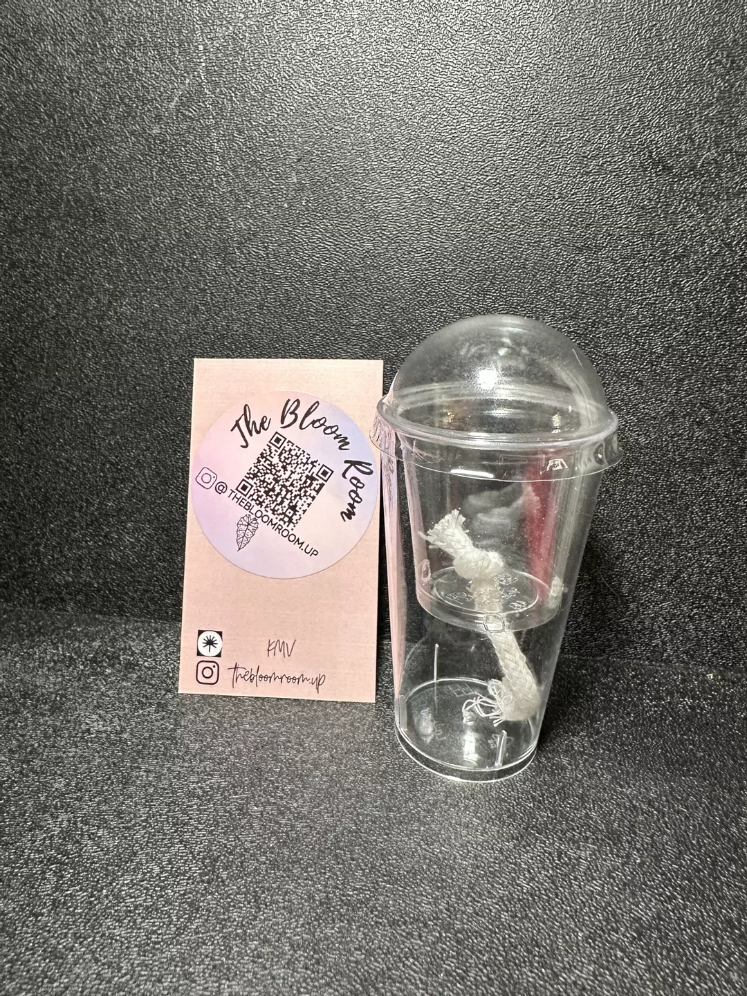 Five Count Corm Cup With Lid thumbnail