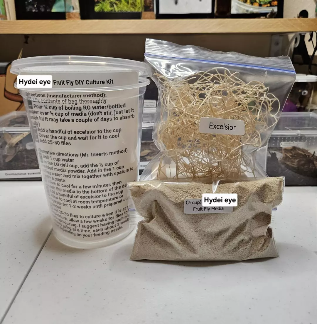 3-PACK Hydei Fruit Fly DIY Culture Kit thumbnail